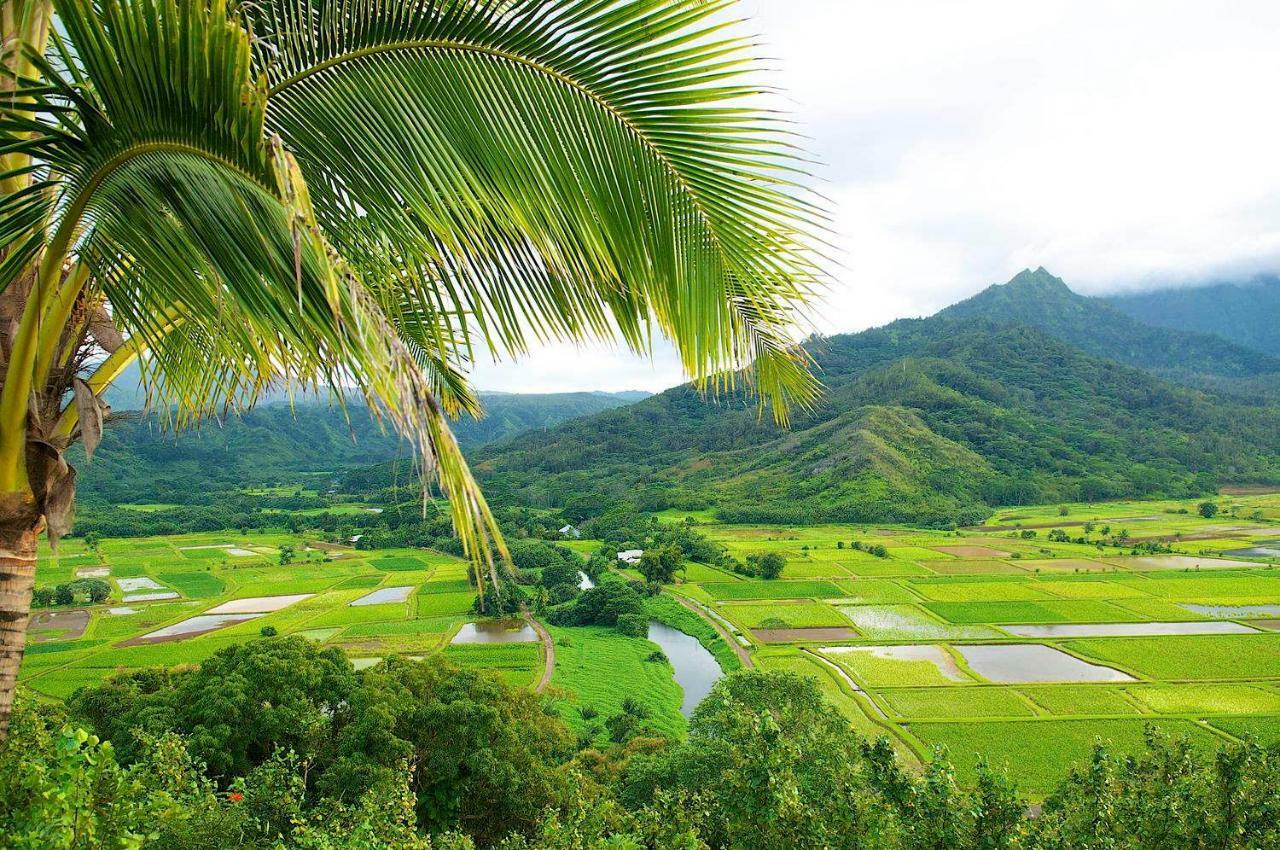 Waipouli Beach Resort Beautiful Luxury Ground Level Garden View Ac Pool! カパア エクステリア 写真